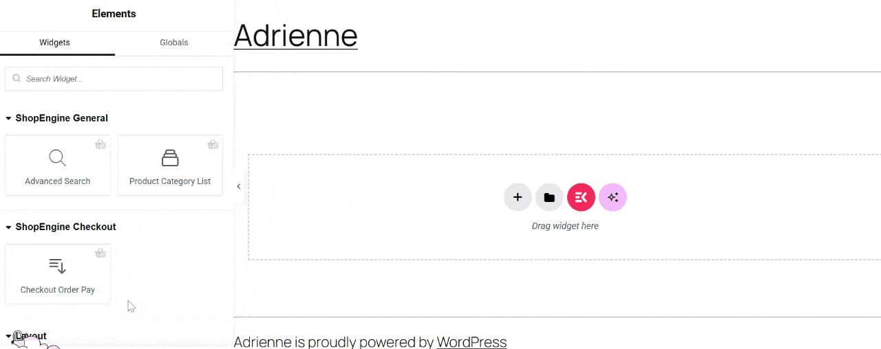 Checkout Order Pay widget